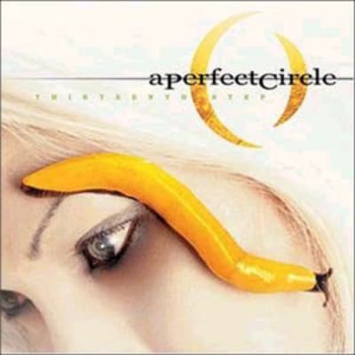 VINILO A PERFECT CIRCLE / THIRTEENTH STEP 2LP
