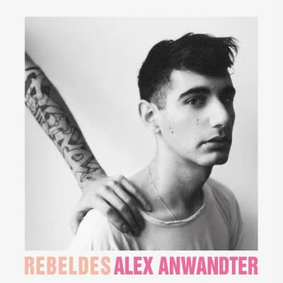 VINILO ANWANDTER,ALEX REBELDES