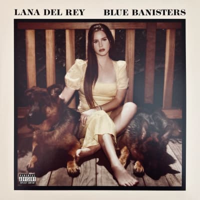VINILO DEL REY,LANA - BLUE BANISTERS1