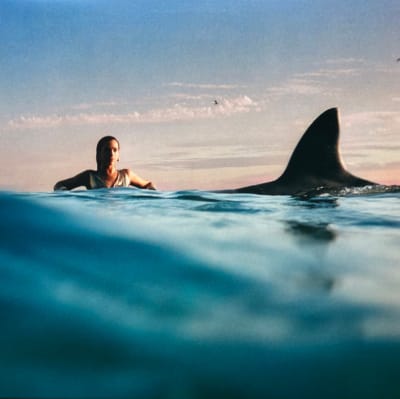 VINILO LIPA,DUA  RADICAL OPTIMISM (Blue Vinyl)1