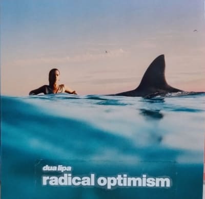 CD LIPA,DUA  - RADICAL OPTIMISM1