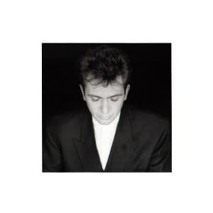 CD GABRIEL,PETER - SHAKING THE TREE - 16 GOLDEN GREATS1