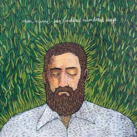 VINILO IRON & WINE  OUR ENDLESS NUMBERED DAYS1