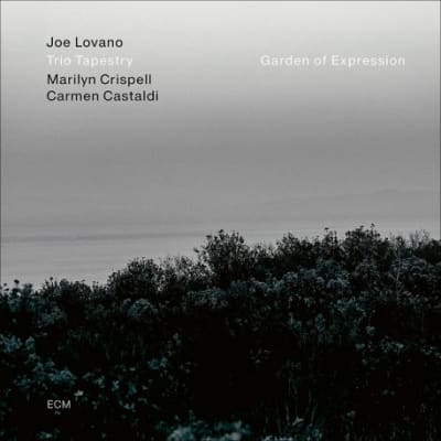 VINILO LOVANO,JOE Garden Of Expression1