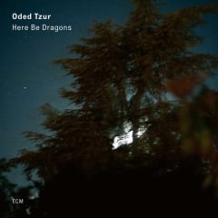 VINILO TZUR,ODED HERE BE DRAGONS ECM