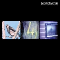 VINILO BOARDS OF CANADA / IN A BEAUTIFUL PLACE