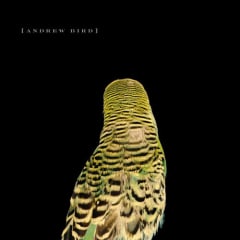 VINILO BIRD,ANDREW / ARMCHAIR APOCRYPHA