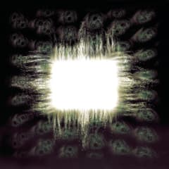 CD TOOL AENIMA