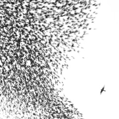 VINILO WILCO / SKY BLUE SKY 2LP