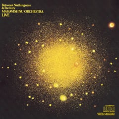 CD MAHAVISHNU ORCHESTRA / BETWEEN NOTHINGNESS