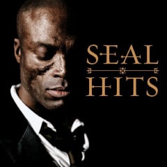 CD SEAL HITS