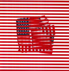 VINILO TORTOISE  STANDARDS