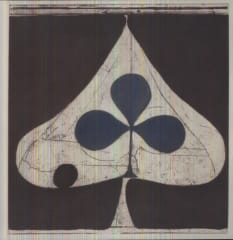 VINILO GRIZZLY BEAR SHIELDS