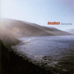 VINILO INCUBUS MORNING VIEW