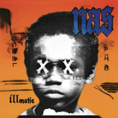 VINILO NAS / ILLMATIC XX (PA/180G/DL CARD)