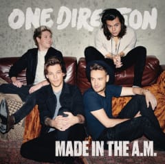 CD ONE DIRECTION MADE IN THE A.M.