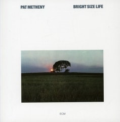 CD METHENY,PAT BRIGHT SIZE LIFE