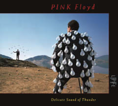 CD PINK FLOYD DELICATE SOUND OF THUNDER 2CD