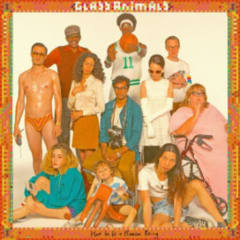 VINILO GLASS ANIMALS HOW TO BE A HUMAN BEING