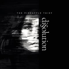 VINILO PINEAPPLE THIEF  DISSOULTION