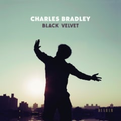 VINILO BRADLEY,CHARLES  BLACK VELVET (DL CODE)