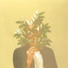 VINILO FKJ / FRENCH KIWI JUICE 2LP