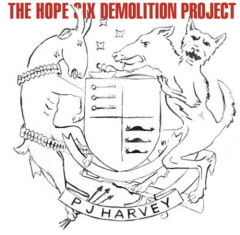 VINILO HARVEY,PJ HOPE SIX DEMOLITION PROJECT