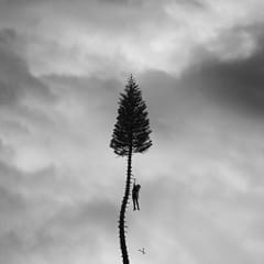 VINILO MANCHESTER ORCHESTRA / BLACK MILE TO THE SURFACE (2LP)
