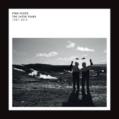 VINILO PINK FLOYD LATER YEARS 1987 - 2019