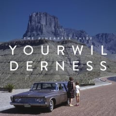VINILO PINEAPPLE THIEF / YOUR WILDERNESS