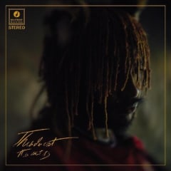 CD THUNDERCAT / IT IS WHAT IT IS (PHOTOGRAPHY BY EDDIE ALCAZAR)