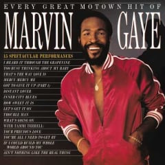 VINILO GAYE,MARVIN EVERY GREAT MOTOWN HIT OF MARVIN GAYE: 15 SPECTACULAR PERFORMANCES