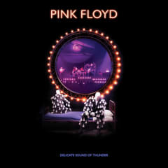 VINILO PINK FLOYD DELICATE SOUND OF THUNDER 3LP
