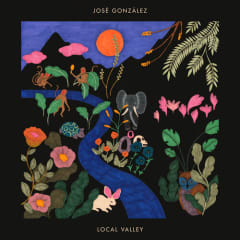 VINILO GONZALEZ,JOSE LOCAL VALLEY