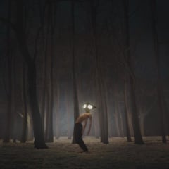 VINILO GEESE Projector