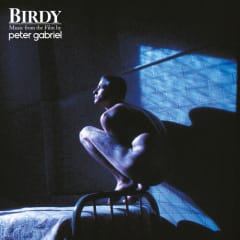 VINILO GABRIEL,PETER - BIRDY