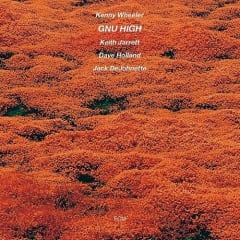 VINILO WHEELER,KENNY / GNU HIGH ECM