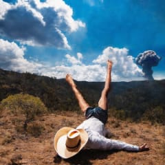 VINILO GEESE 3D Country