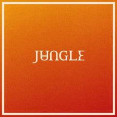 CD JUNGLE - Volcano