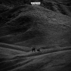 VINILO NXWORRIES / WHY LAWD?