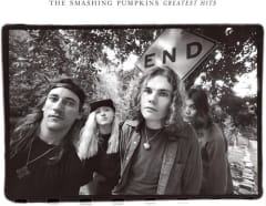 VINILO SMASHING PUMPKINS Rotten Apples: Greatest Hits 2LP
