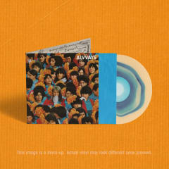 VINILO ALVVAYS Alvvays (10th Anniversary)