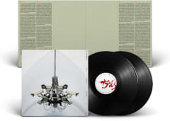 VINILO INTERPOL This Mirror Weighs a Ton 2LP