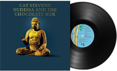VINILO STEVENS,CAT Buddha and the Chocolate Box