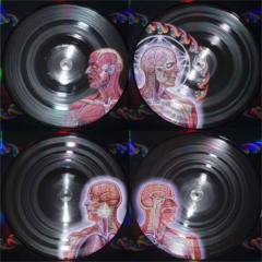 VINILO TOOL / LATERALUS 2LP