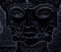 CD TOOL 10,000 DAYS