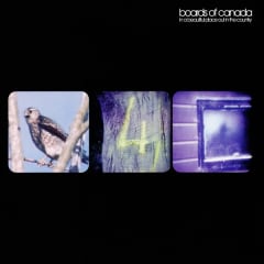 CD BOARDS OF CANADA / IN A BEAUTIFUL PLACE