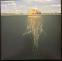 VINILO MARS VOLTA / DE-LOUSED IN THE COMATORIUM (GOLD & DARK GREEN VINYL/2LP)