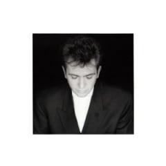 CD GABRIEL,PETER - SHAKING THE TREE - 16 GOLDEN GREATS