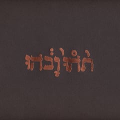 VINILO GODSPEED YOU BLACK EMPEROR Slow Riot for New Zero Kanada